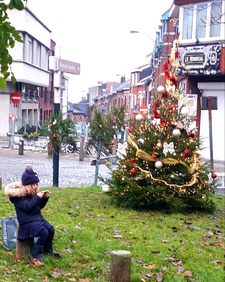 Ope sapin 11