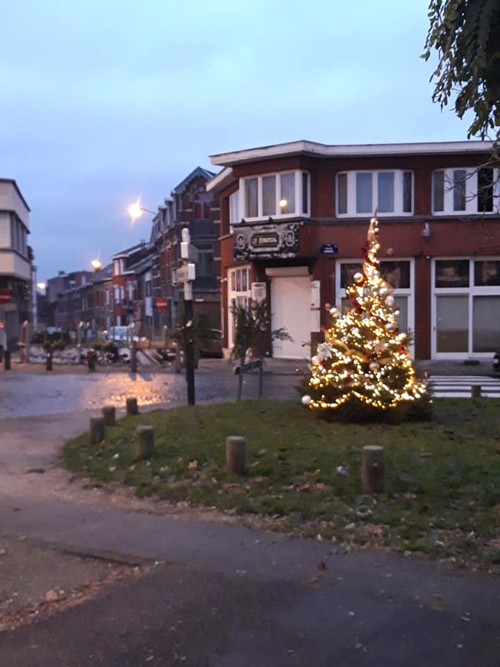 Ope sapin 16