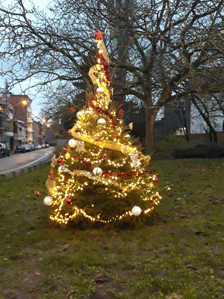 Ope sapin 17