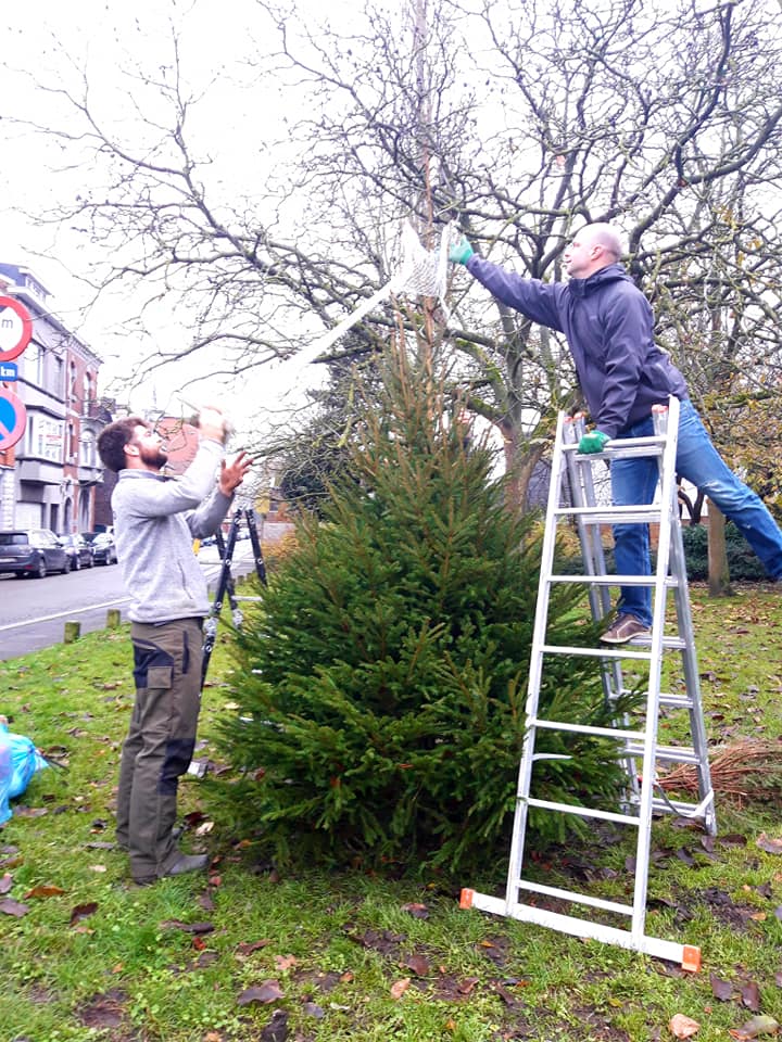 Ope sapin 4