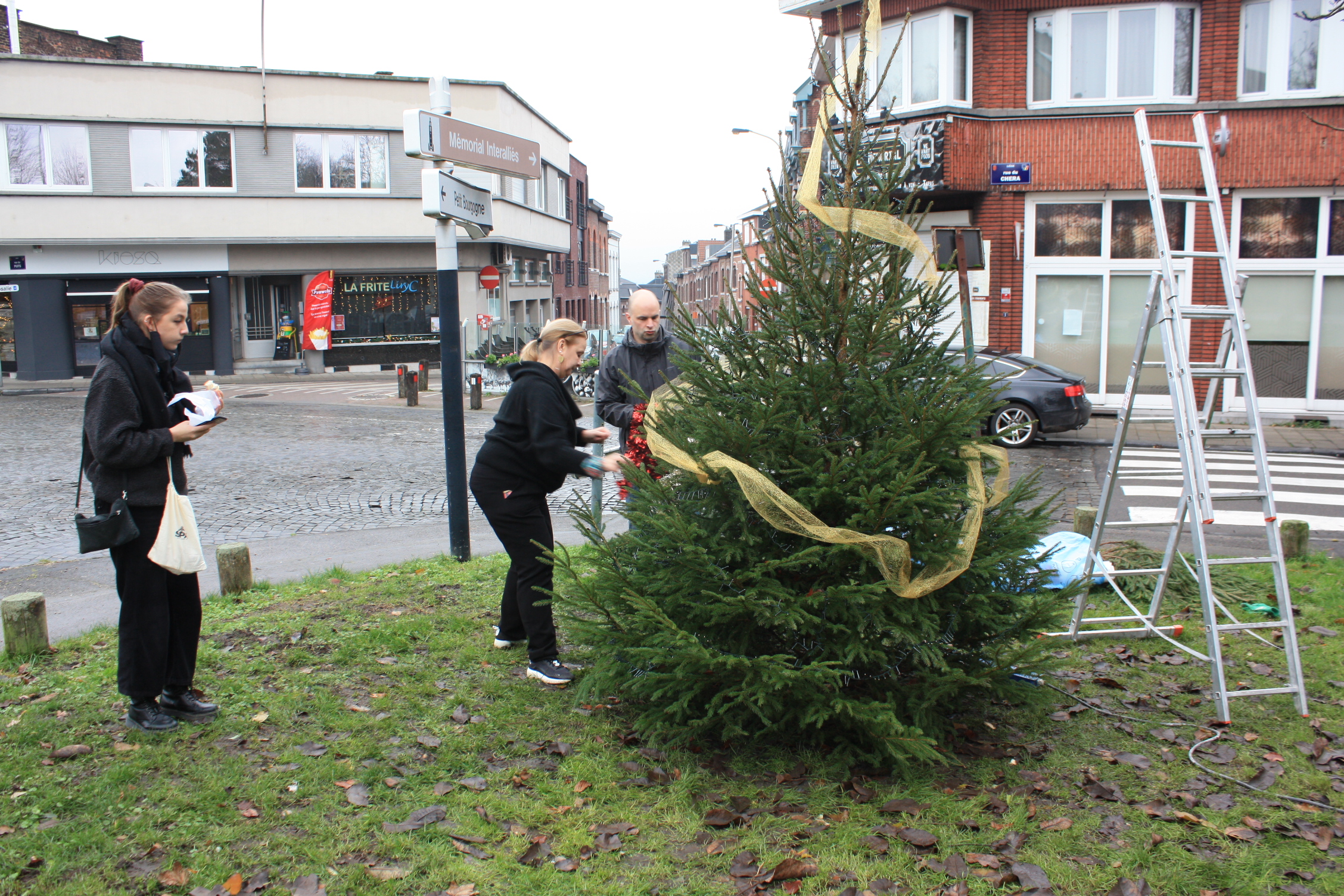 ope sapin 7
